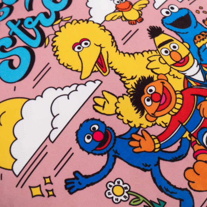 Dekoračný poťah na vankúš 47 x 47 cm - Sesame Street Since 1969 03
